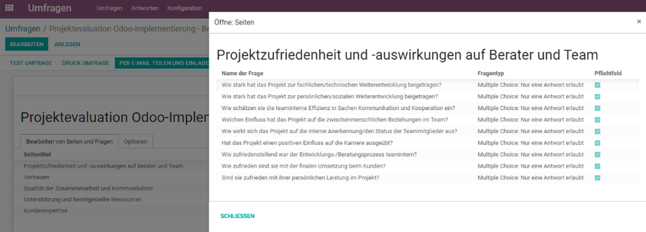 Excerpt of the project evaluation elements created in the Odoo survey module.