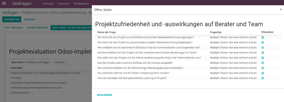 Auszug der im Odoo Umfragemodul angelegten Elemente zur Projektevaluation.