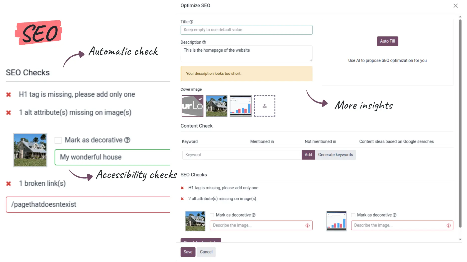 Odoo 19 Website