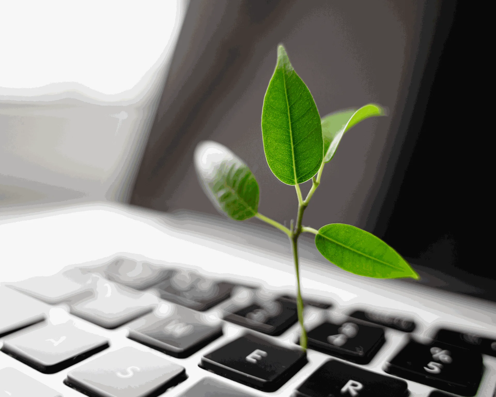 Odoo Nachhaltigkeit und Innovation Odoo Nachhaltigkeit und Innovation
