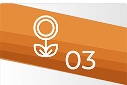 Testphase und Feedback Testphase und Feedback
