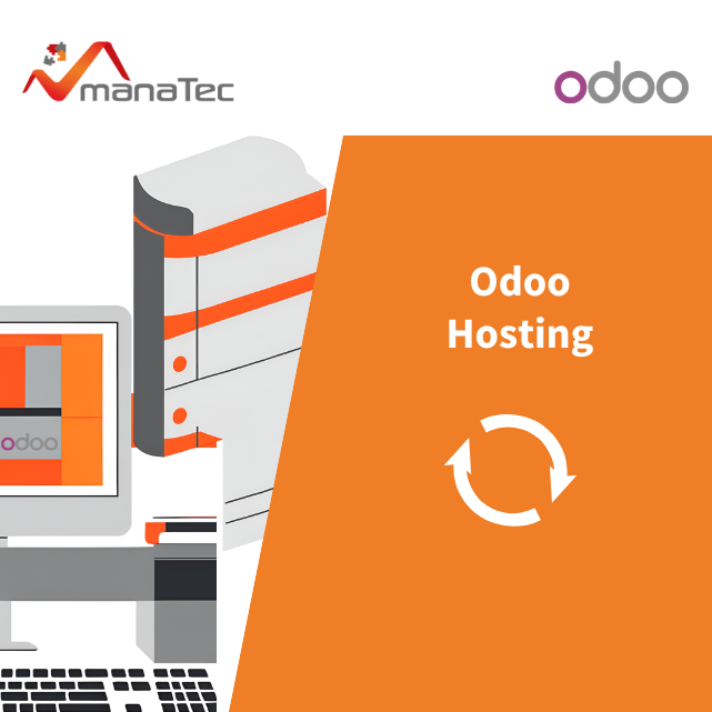 Odoo Hosting - Server Package Basic