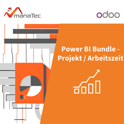 Power BI Bundle - Evaluations of Working Hours and Project Hours