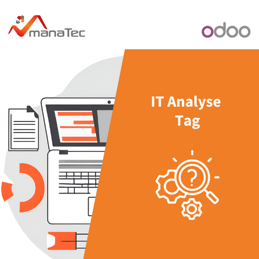 IT Analyse Tag